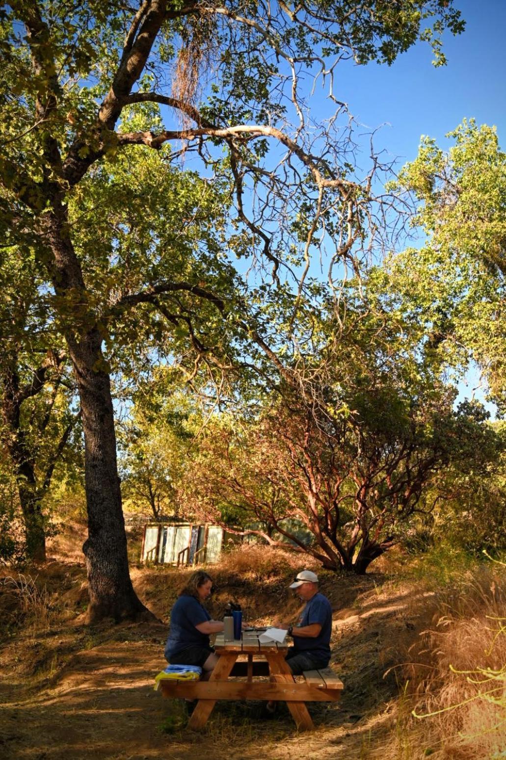 Miramonte Campground At Sequoia Mountain Farms - Bring Your Own Tent Or Rv - No Bedrooms Or Beds Provided מראה חיצוני תמונה