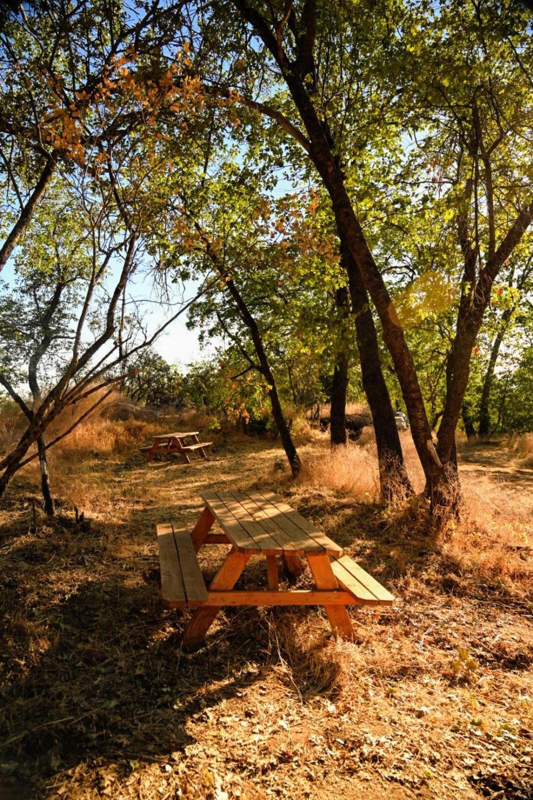 Miramonte Campground At Sequoia Mountain Farms - Bring Your Own Tent Or Rv - No Bedrooms Or Beds Provided מראה חיצוני תמונה